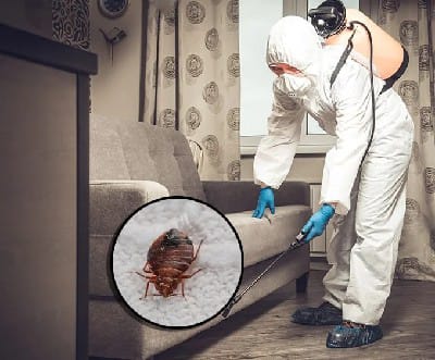 Pest Coverage & Target Areas